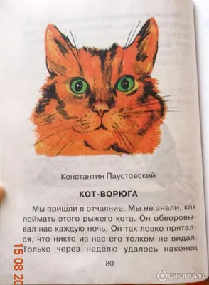 Отзыв о Книга \"Кот-ворюга\" - К. Паустовский | Ох уж этот котяра!