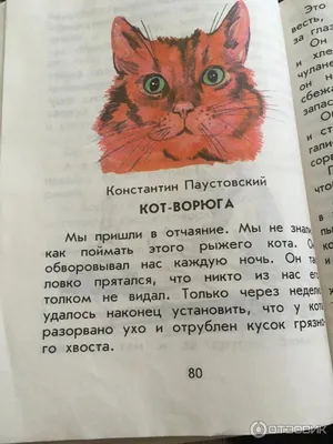 Отзыв о Книга \"Кот-ворюга\" - К. Паустовский | Отличный и легкий рассказ.