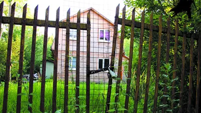 Фото: ограда для огорода от собаки с использованием разных материалов