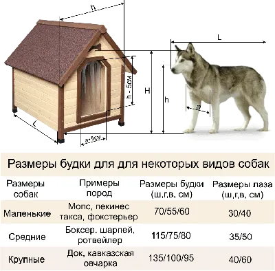 Изображение: Собаки и их будка - сделай сам!