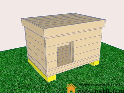 Фото: Как сделать будку для собаки долговечной и устойчивой к погодным условиям