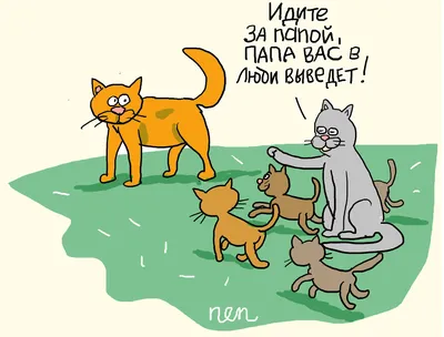 Карикатуры про котов