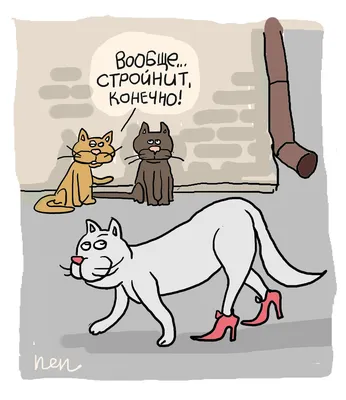 Карикатуры про котов added a new photo. - Карикатуры про котов