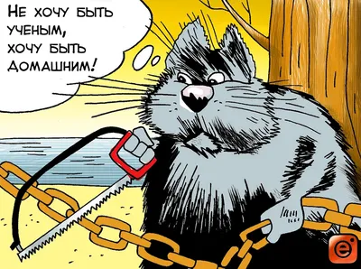 15 карикатур и 15 анекдотов про котов | Замечания на полях чепчика. | Дзен