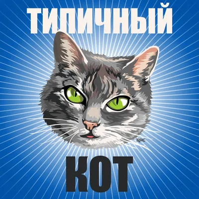 Карикатуры про котов - \"Опа!\" Художественный кото-принт А3 (420ммХ297мм) с  арт-автографом автора:  https://cartoonagency2.blogspot.com/2021/06/blog-post.html | Facebook
