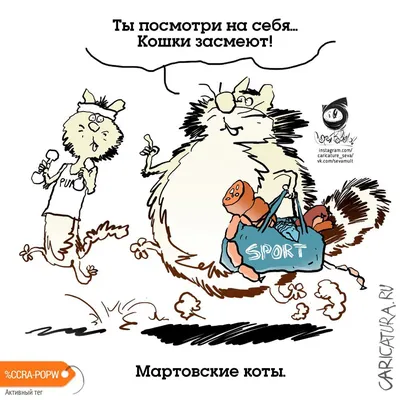 Карикатуры про котов | Facebook