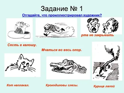 Фразеологизмы: значение, виды, примеры • Образавр