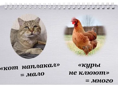 Please show me example sentences with \"кот наплакал. (значение \"очель  мелкий\" японским фразеологизмом выражает так, \"слез воробея\" 雀の涙. Эта фраза  похожее значение? )\". | HiNative