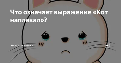 кот наплакал. (значение \"очель мелкий\" японским фразеологизмом выражает  так, \"слез воробея\" 雀の涙. Эта фраза похожее значение? )】 を使った例文を教えて下さい。 |  HiNative