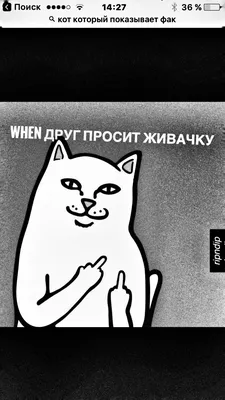 Купить футболку RIPNDIP кот в очках показывает фак