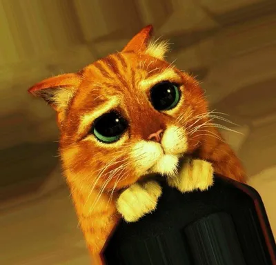 Кота из шрека с грустными - картинки и фото koshka.top