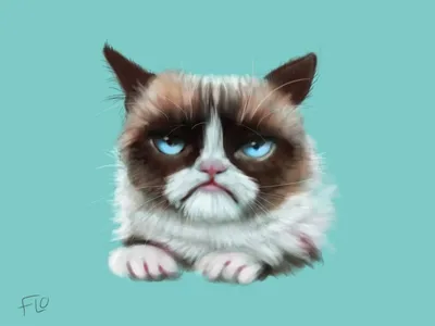 Кружка 3Dollara \"Недовольный кот: Снова ты\", 330 мл, 9 шт - купить по  доступным ценам в интернет-магазине OZON (485235244)