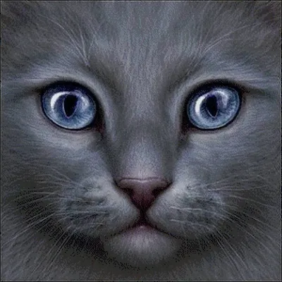 Серый кот рисунок - 55 фото