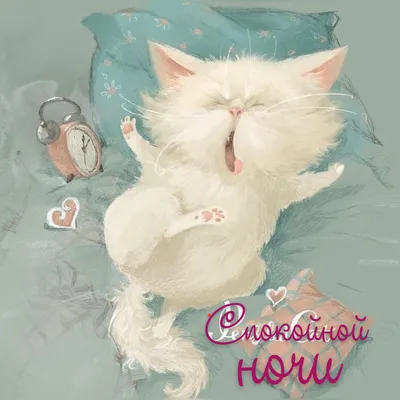 Милый маленький кот на луне. Надпись: \"Спокойной ночи и сладких снов\"  Иллюстрация вектора - иллюстрации насчитывающей сновидение, плакат:  255771440