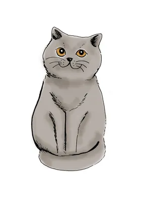 Магнитный плакат 2Х3 Cartoon Cat Мультяшный кот купить в интернет магазине  | Цена 210 руб | Игры