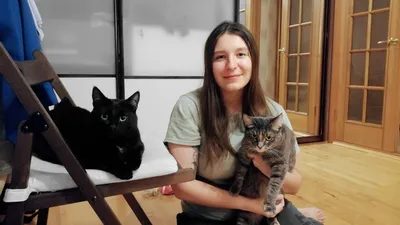 Четырех бездомных котят нашли в поезде на Серпуховско-Тимирязевской линии  метро