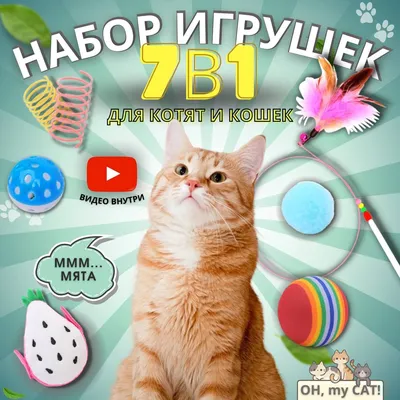 Набор игрушек для котят и кошек, набор с дразнилкой 7в1 - купить с  доставкой по выгодным ценам в интернет-магазине OZON (1050817602)