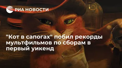 Сегодня на ТВ: Le Chat Potté 2, la Dernière Quête - обзор и трейлер -  Sortiraparis.com