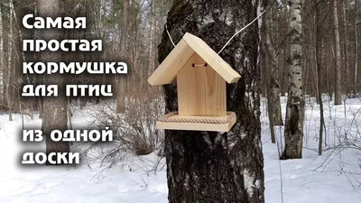 Сытые птички Кормушка для птиц на окно