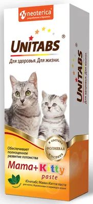 Корм для котят AJO 400г беременных и кормящих кошек с индейкой купить по  цене 371 ₽ с доставкой в Москве и России, отзывы, фото