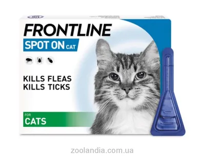 Пчелодар Фенпраз таблетки для кошек и котят упаковка, 6 таб купить по  низкой цене с доставкой - БиоСтайл