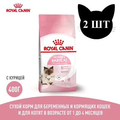 Купить Влажный корм Monge Cat BWild GRAIN FREE для котят и кошек крупных  пород, из мяса буйвола с овощами, паучи 85 г в интернет-магазине Monge