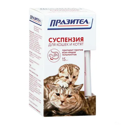 FortiFlora пробиотик порошок для кошек и котят 30 шт*1 г (цена за 1 шт) -  купить в Новосибирске по цене от рублей в интернет-магазине Мокрый Нос с  доставкой