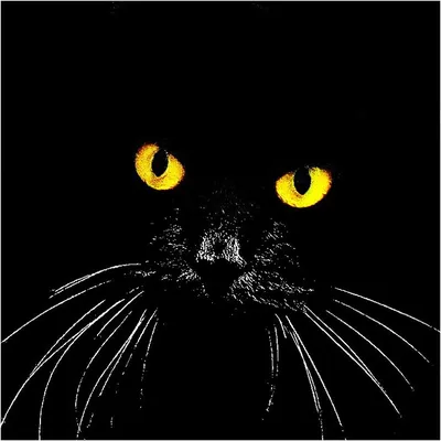 Bayun the Cat - Pathfinding | Кот Баюн - Клубок by HerrZog -- Fur Affinity  [dot] net