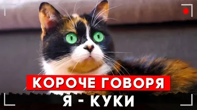 КУКИ КОТ с КАНАЛА СЛИВКИ ШОУ из ПЛАСТИЛИНА. ВИДЕО ЛЕПКА КОТА - YouTube