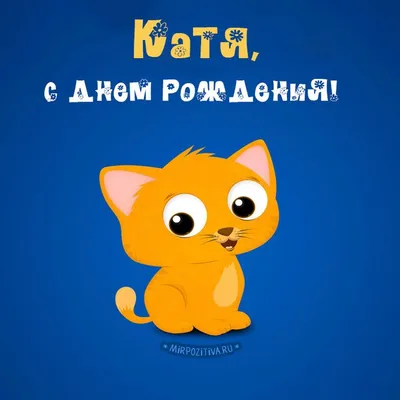 котенок - Катя, с днем рождения! | С днем рождения, День рождения, Открытки