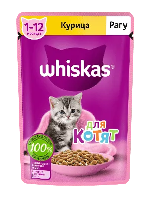 Как часто котенок ходит в туалет и что ему может мешать | Royal Canin UA