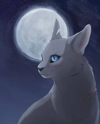 Синяя Звезда | Warrior cats, Cat art, Warrior cat