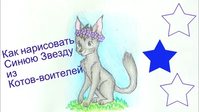 Коты воители - это синяя звезда | Facebook