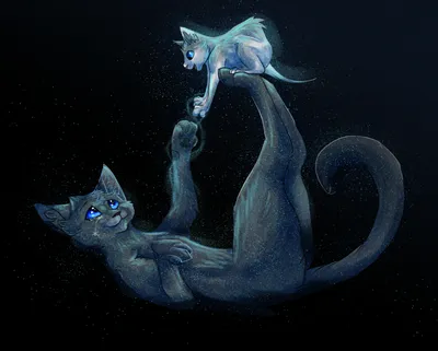 Картинки котов воителей синяя звезда фотографии