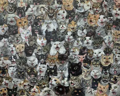 Ученые насчитали у котов почти 300 \"выражений лица\" - 29.10.2023, Sputnik  Беларусь