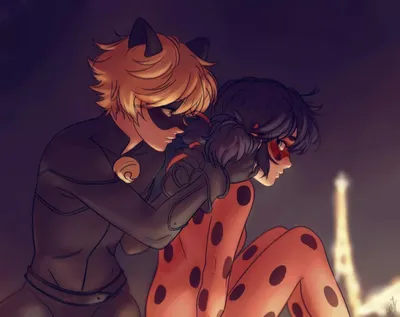 Фанфик \"Вопрос, изменивший все\"-Леди Баг и Супер Кот | 🐞Russian  Miraculers🐞 Amino