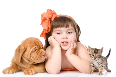 Котята и щенки впервые в жизни видят друг друга! | Мур ТВ