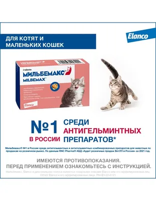 В подъезд подкинули 3 маленьких котят(2 девочки,1 мальчик) Соседи их  выкинут на улицу,на мороз😭 Во дворе собаки могут разодрать их! У себя … |  Instagram