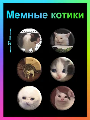 Картинки мемных котов