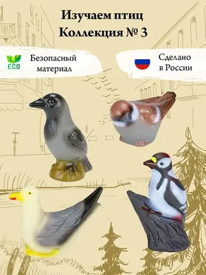 Дворец творчества детей и молодежи • Последние новости — Друзья - перелетные  птицы