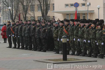 День налоговой полиции - Праздник