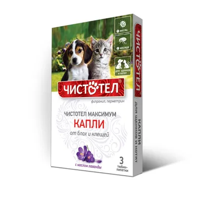 Шампунь-кондиционер для щенков и котят 500 мл S'pets (для и щенят,  облегчает расчесывание, гипоаллергенное экологичное универсальное средство,  биоразлагаемое) - купить с доставкой по выгодным ценам в интернет-магазине  OZON (1273312892)