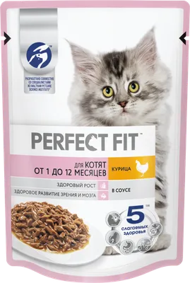 Сухой корм для котят, Purina Pro Plan Junior, с курицей купить с доставкой  в интернет-магазине зоогастроном.ру