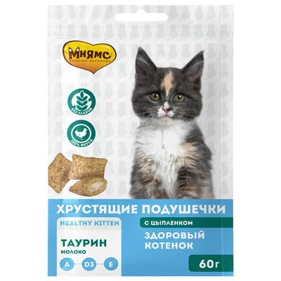 Когда у котят меняются зубы: симптомы и как помочь животному | Royal Canin  UA