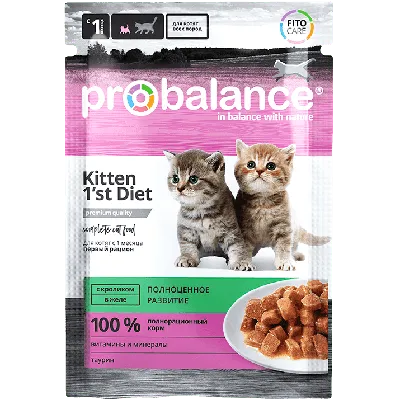 Сухой корм Pro Plan Original Kitten для котят от 1 до 12 месяцев – Корм для  кошек