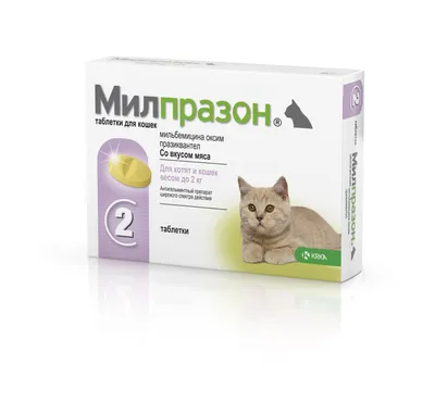 Kitten Влажный корм (пауч) для котят, с ягненком и говядиной в соусе, 100  гр., цены, купить в интернет-магазине Четыре Лапы с быстрой доставкой