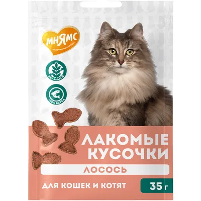 Купить корм сухой для котят Josera Kitten - Интернет-зоомагазин Zoolove