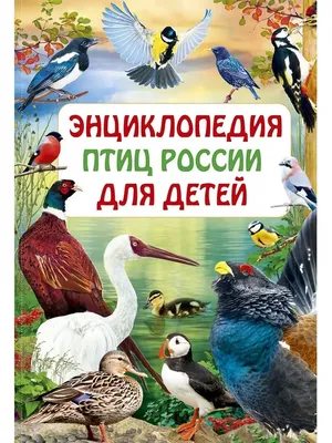 Птицы. Видео обучение. Пение птиц. Учим птиц. Названия птиц. Голоса птиц.  Звуки птиц. - YouTube