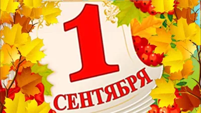 1 сентября День знаний — Народный №1