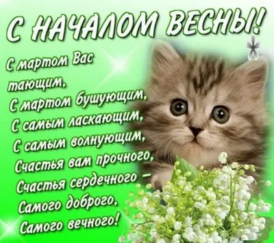 Поздравления с первым днем весны: проза, стихи, картинки на украинском  языке — Украина